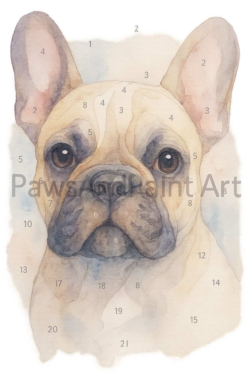 French Bulldog Activity Kit | Coloring Book + Puzzle + Paint By Numbers